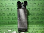 Intercooler radiator