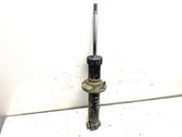 Rear shock absorber/damper