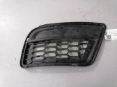 Front fog light trim/grill