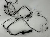 Front door wiring loom