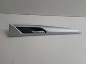 Moldura del interruptor de la ventana de la puerta derecha