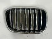 Front bumper upper radiator grill