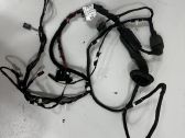 Rear door wiring loom