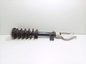Front shock absorber/damper