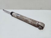 Rear shock absorber/damper