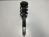 Front shock absorber/damper