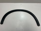 Fender trim (molding)