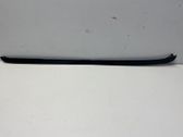 Windshield trim