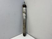 Rear shock absorber/damper