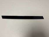 Rear door glass trim molding