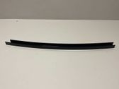 Rear door glass trim molding