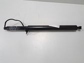 Tailgate/trunk strut/damper