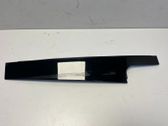 Rear door glass trim molding