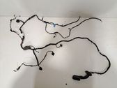Other wiring loom