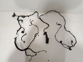 Front door wiring loom