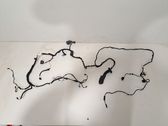 Front door wiring loom