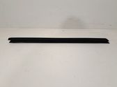 Front door glass trim molding