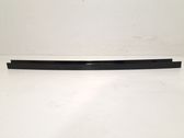 Rear door glass trim molding