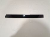 Rear door glass trim molding