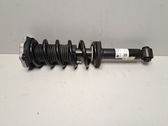 Rear shock absorber/damper