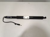 Tailgate/trunk strut/damper