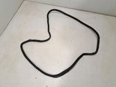 Trunk rubber seal (body)