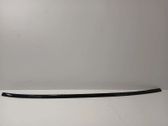 Roof trim bar molding cover