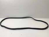 Rubber seal rear door