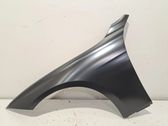 Fender