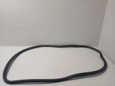 Front door rubber seal