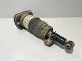 Shock absorber/damper/air suspension