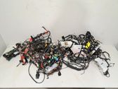 Other wiring loom