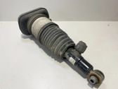 Shock absorber/damper/air suspension