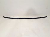 Roof trim bar molding cover