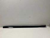 Windshield trim