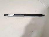 Tailgate/trunk strut/damper