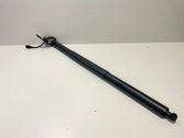Tailgate/trunk strut/damper
