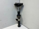 Rear shock absorber/damper
