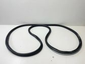Trunk rubber seal (body)