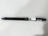 Tailgate/trunk strut/damper