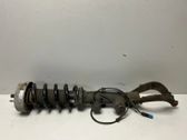 Front shock absorber/damper