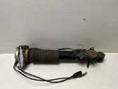Rear shock absorber/damper