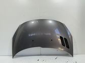 Motorhaube