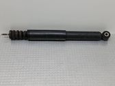 Rear shock absorber/damper