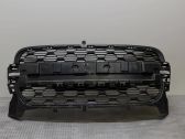 Front bumper lower grill