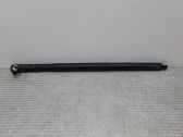 Tailgate/trunk strut/damper