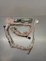 Roof airbag