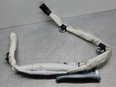 Roof airbag