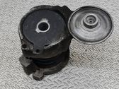 Lichtmaschine Riemenspanner Spannrolle Keilrippenriemen Keilriemen