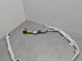 Roof airbag